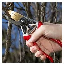 Proper Pruning Techniques